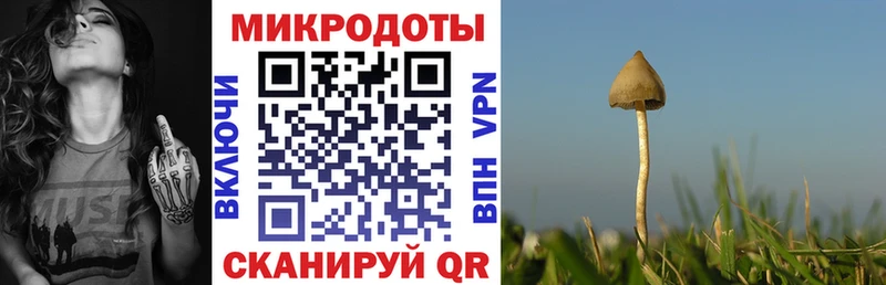 купить   Краснокамск  Псилоцибиновые грибы Magic Shrooms 